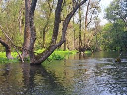 Groschenwasser, Okt 2025